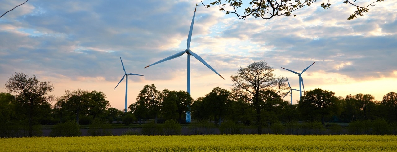 Windräder in einer Landschaft