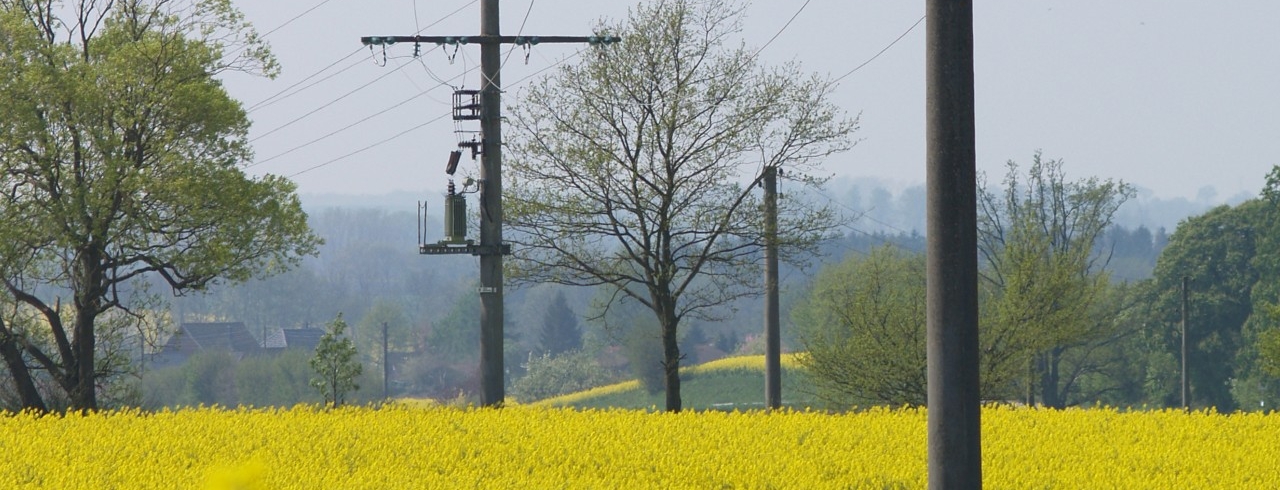 Mittelspannungskabel in einem Feld